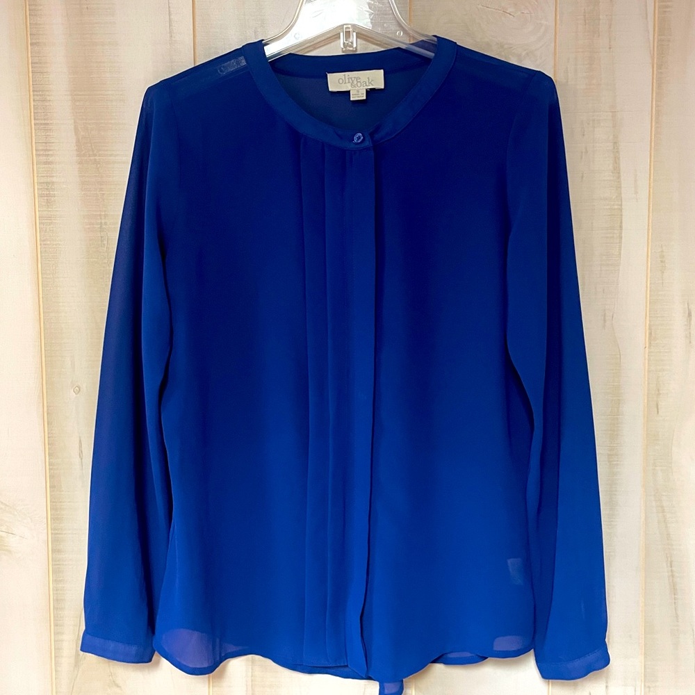 Olive & Oak Sheer Blue Pleated Front Blouse With Hidden Buttons,  Sz S